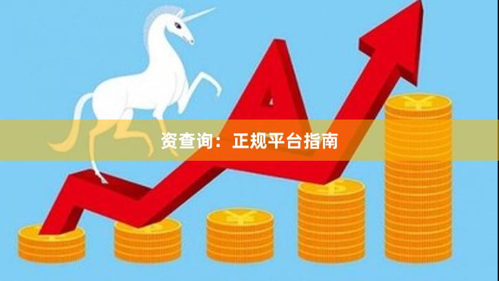 资查询：正规平台指南